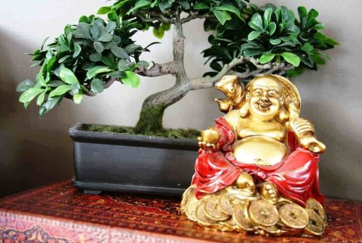Lumturia dhe prosperiteti në shtëpi sipas Feng Shui